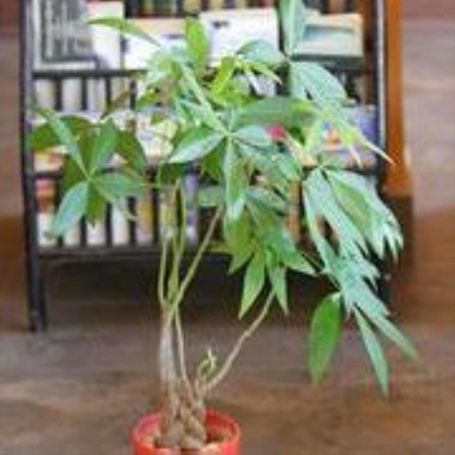 G Eleven Hotel Phnom Penh Zewnętrze zdjęcie
